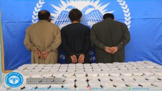 بالتنسيق مع النيابة العامَّة، قواتنا تضبط 141 كف حشيش في مدينة الرقة Hêzên me bi koordîneya li gel Dozgeriya Giştî re li bajarê Reqayê 141 kefên heşîşê desteser kirin.